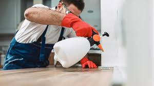 Real Estate Pest Inspections in Essex Fells, NJ